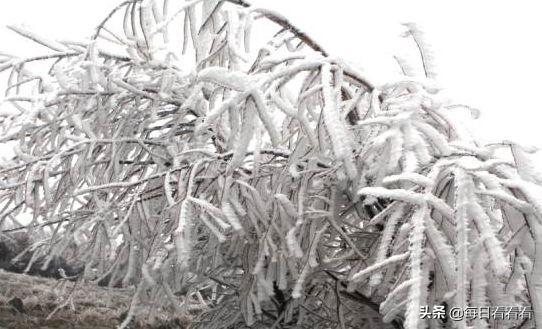 山西省大同市南郊区高山镇最新天气预报