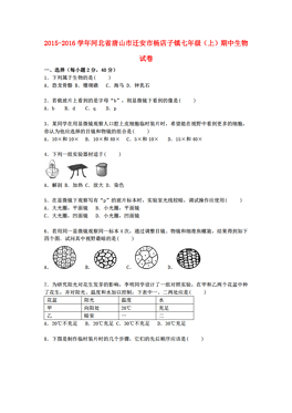 小店镇最新人事任命，新篇章的开启