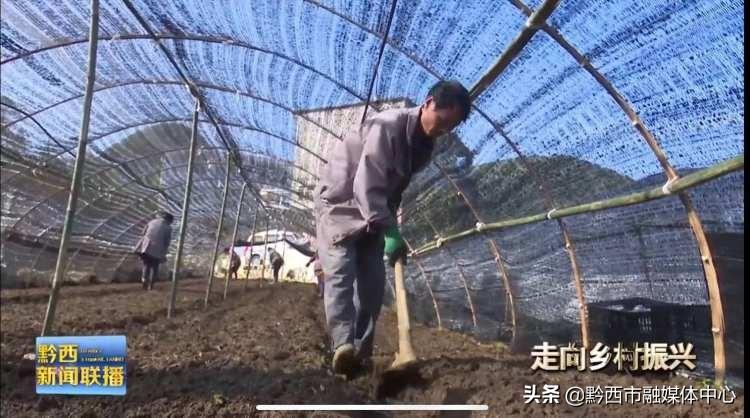 长兴县公路运输管理事业单位发展规划展望