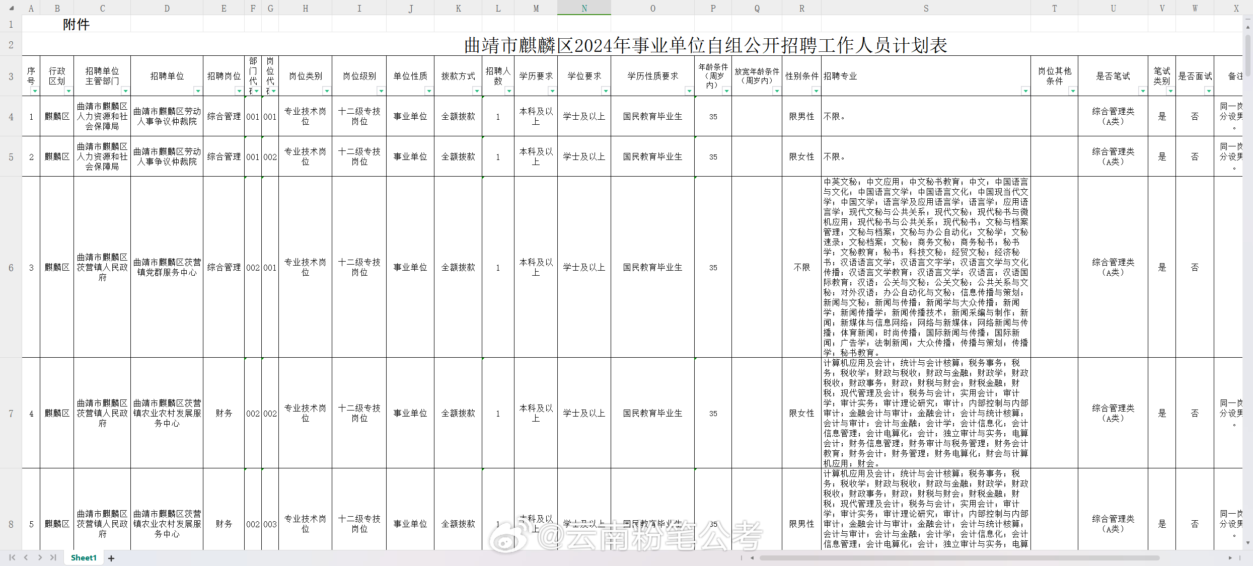 玉林市审计局最新招聘信息概览