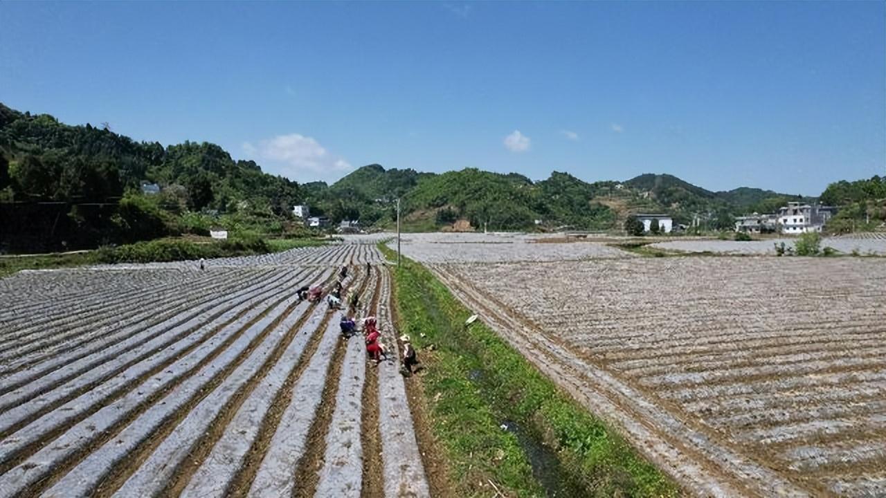 莫窝最新交通新闻