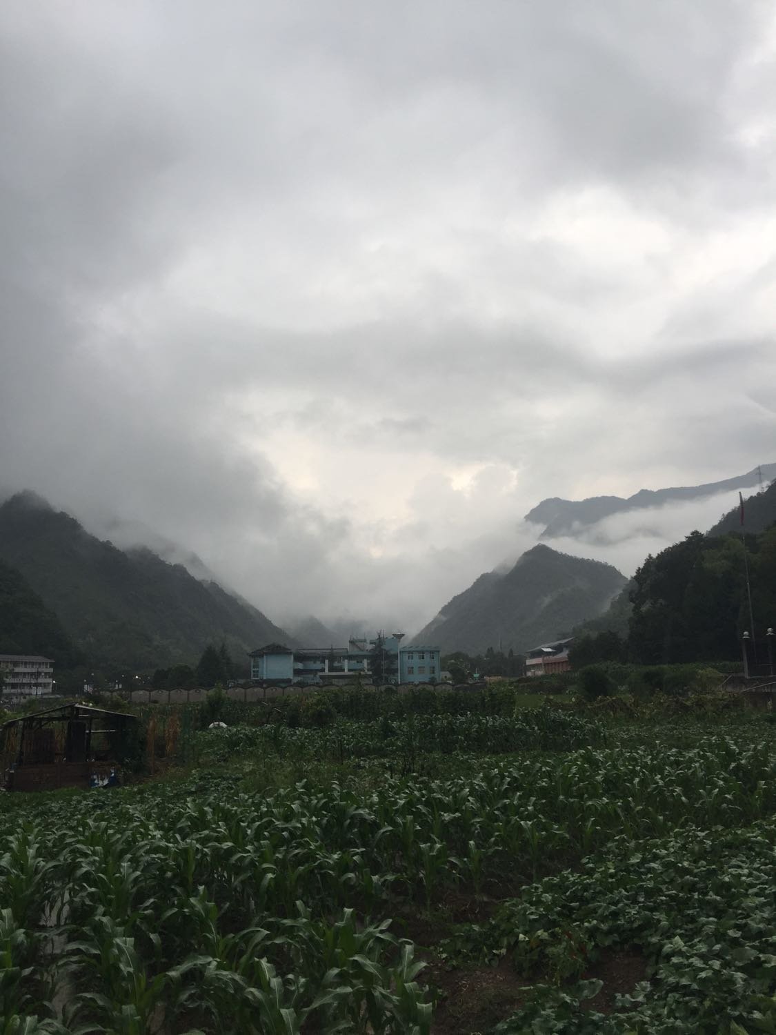 常川乡未来一周天气预报与生活建议