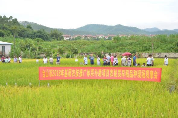 雷州市农业农村局最新项目，推动农业现代化，助力乡村振兴