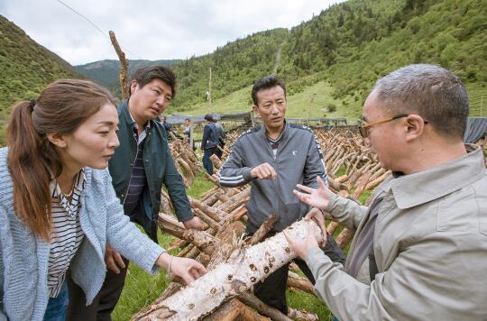 果巴塘村的全新发展规划揭秘