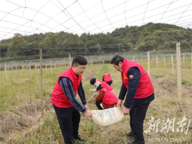 道县农业农村局领导团队全新亮相，工作展望与期待