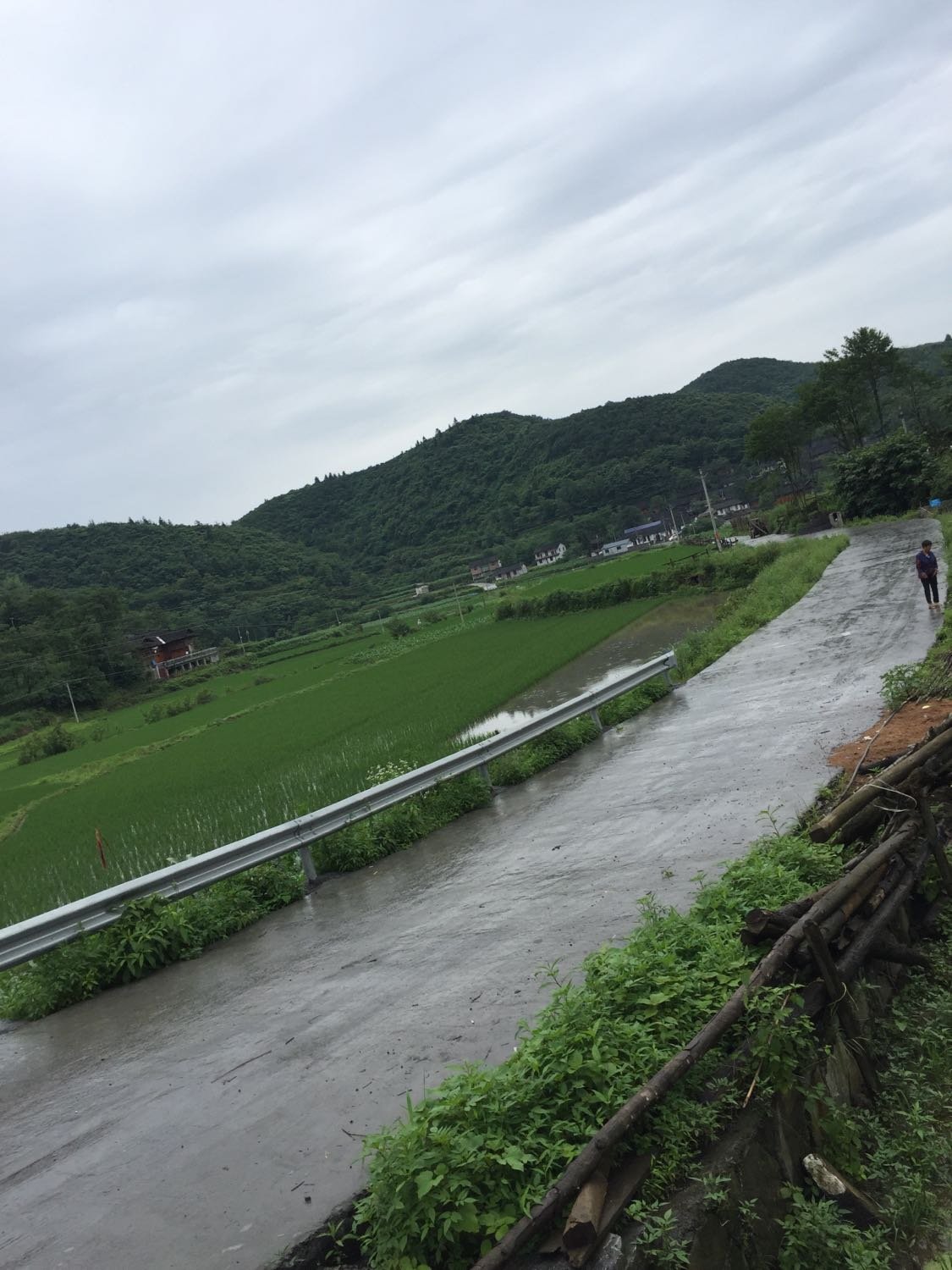 龙井乡最新天气预报详解，天气概况、温度、降水等全面解读