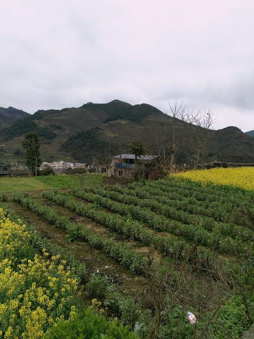 车仁乡天气预报更新通知