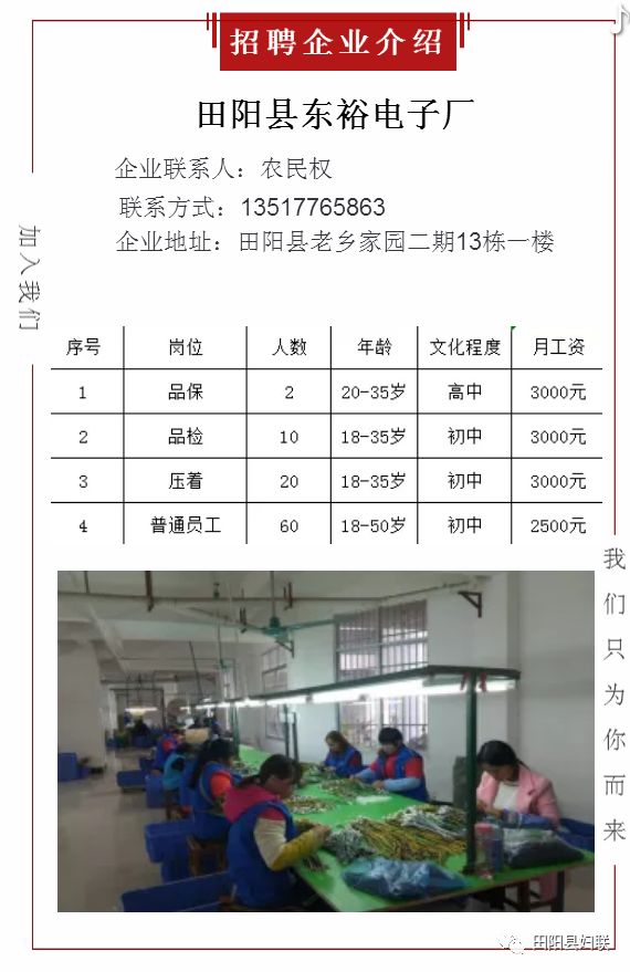 坑园镇最新招聘信息详解及深度解读