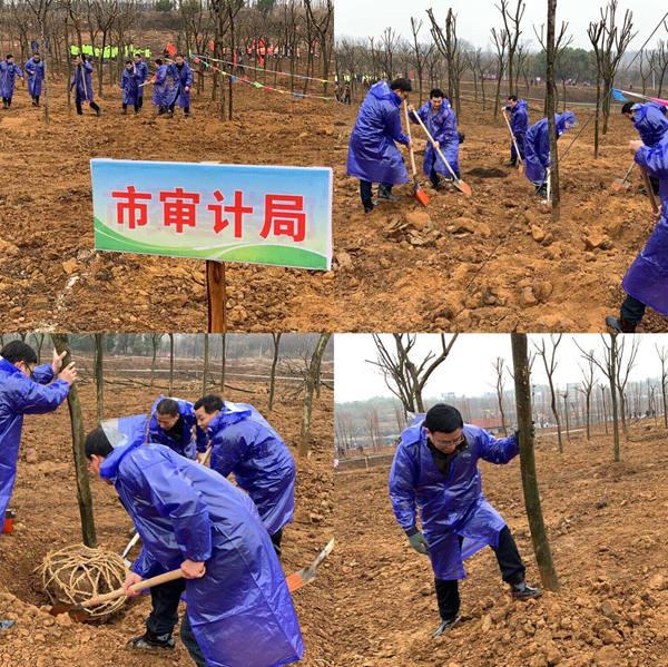 荆门市审计局最新招聘启事概览