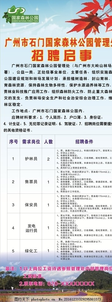 石马坪村委会最新招聘公告发布