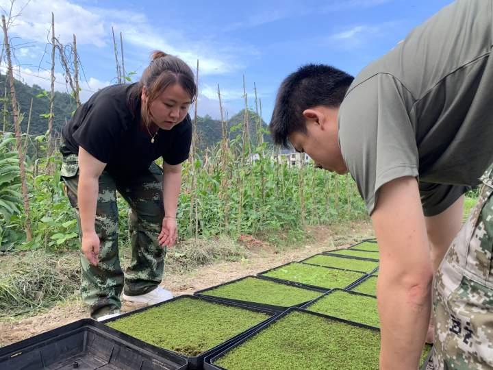 景宁畲族自治县医疗保障局最新招聘信息与职位概述揭秘