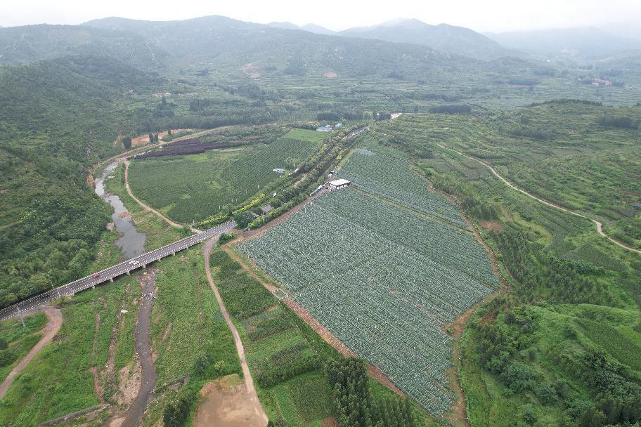 博山镇未来繁荣蓝图，最新发展规划揭秘