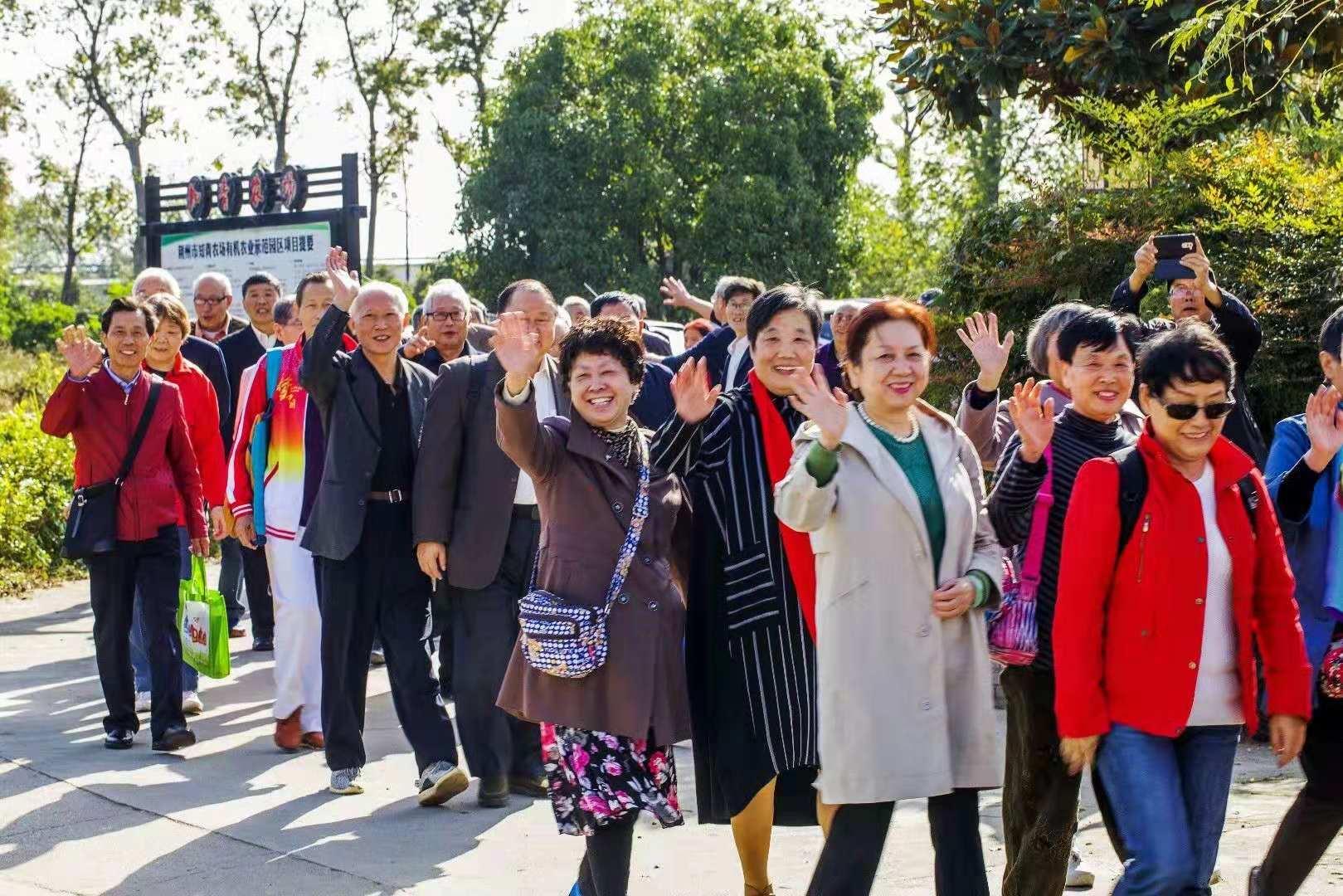 沙市区教育局重塑教育生态项目，引领未来教育发展之路