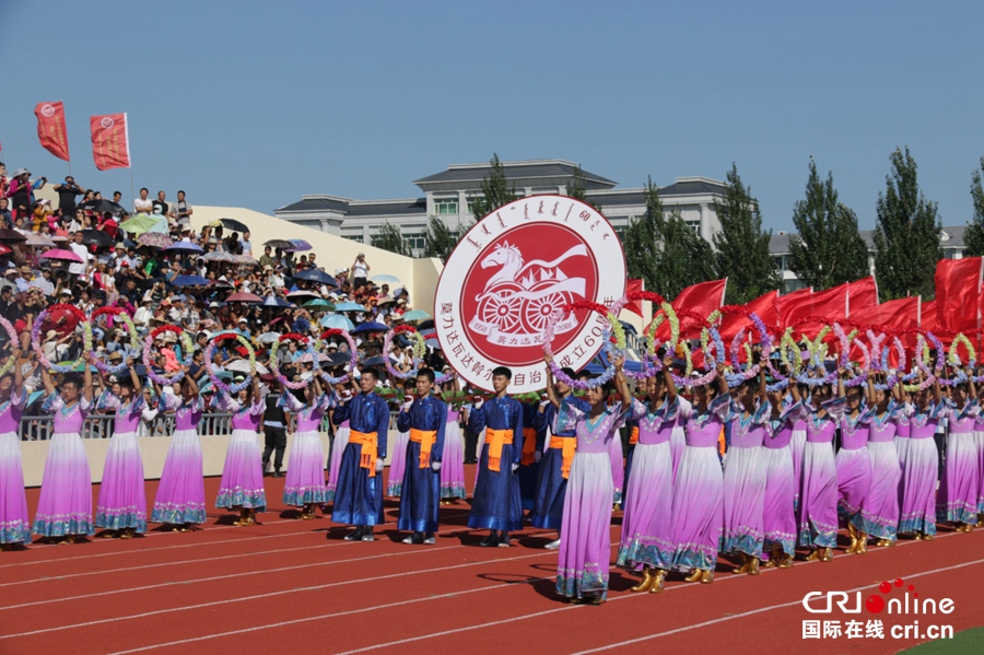 莫力达瓦达斡尔族自治旗文化广电体育和旅游局最新招聘信息概览