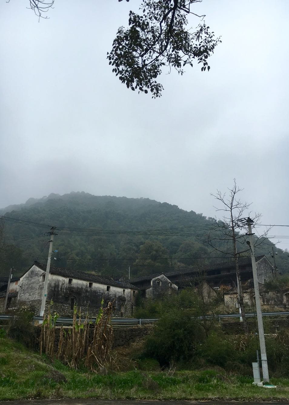 孙家河村民委员会天气预报更新通知