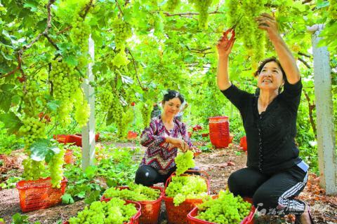 吐鲁番地区市统计局发布最新统计数据新闻