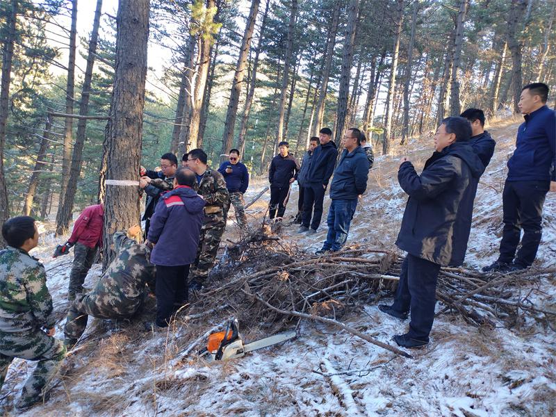 北列林场绿色生态建设先锋项目启动