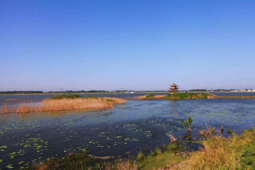 华山乡最新发展规划，塑造新乡村面貌，推动可持续发展进程