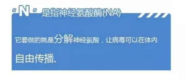 潞西市数据和政务服务局招聘公告详解