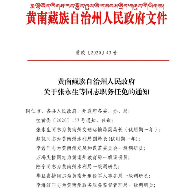 松树乡人事任命动态，新任领导及其深远影响力